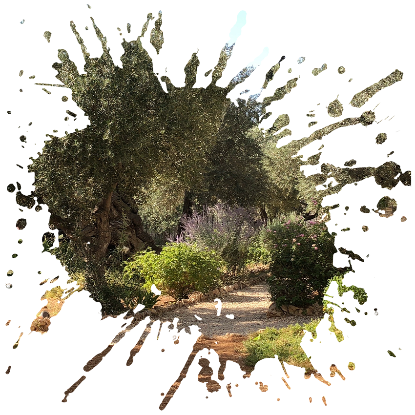 Gethsemane