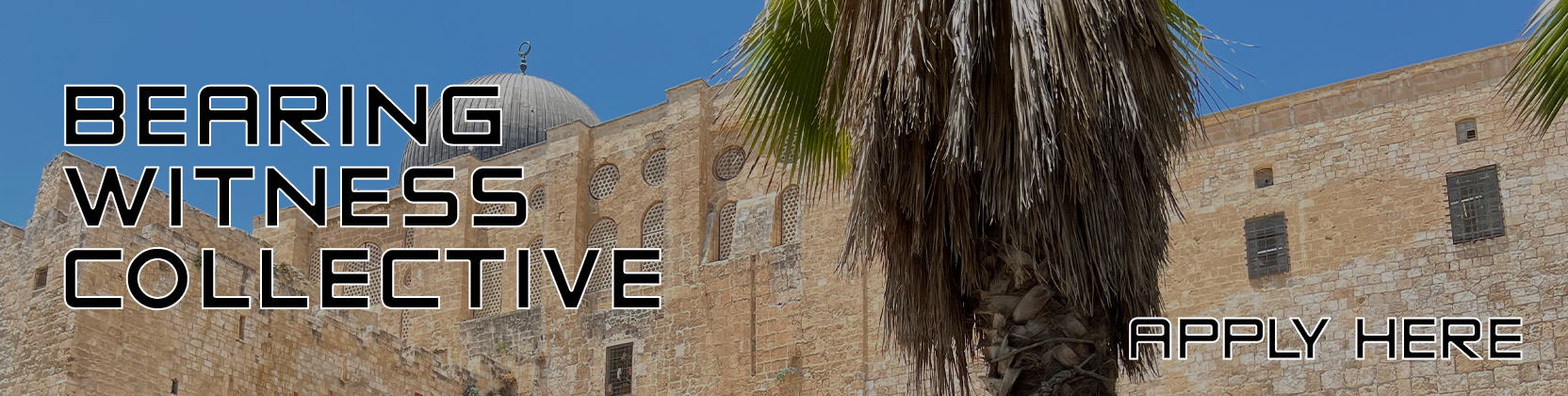 Bearing Witness Collective